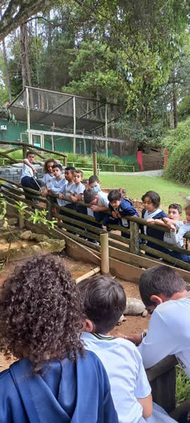 Bicho Mania 2022